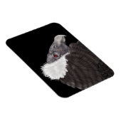 Illustratie Andean Condor Magneet (Rechterzijde)