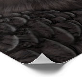 Illustratie Andean Condor Poster (Hoek)