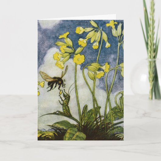 illustratie anders Wenz Vietor Bedankkaart (Voorkant)