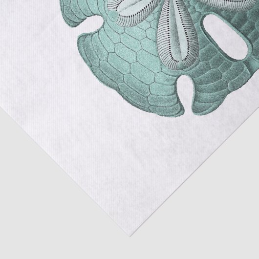 Illustratie Antiek Zee zandband Tissuepapier (Detail)