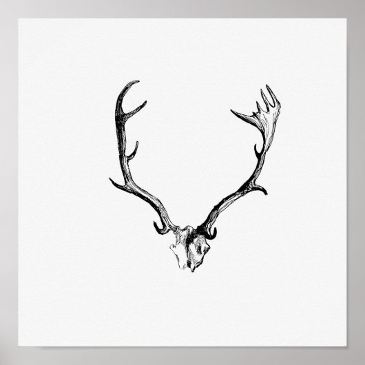 Illustratie  Antlers Poster (Voorkant)