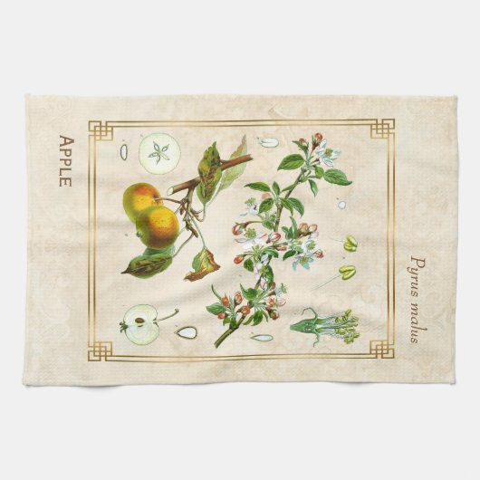  illustratie Apple Fruit Botanical Floral Theedoek (Horizontaal)