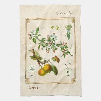  illustratie Apple Fruit Botanical Floral Theedoek