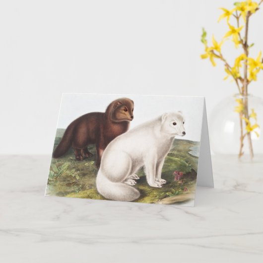 Illustratie Arctic Fox (Vulpes lagopus) Kaart (Gele Bloem)