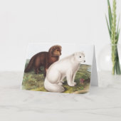 Illustratie Arctic Fox (Vulpes lagopus) Kaart (Voorkant)