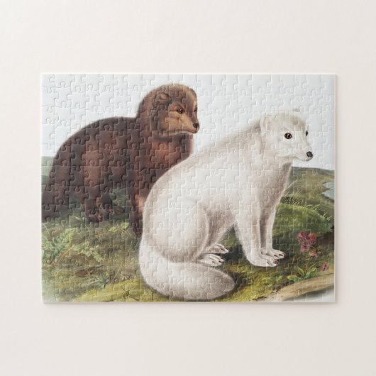 Illustratie Arctic Fox (Vulpes lagopus) Legpuzzel (Horizontaal)