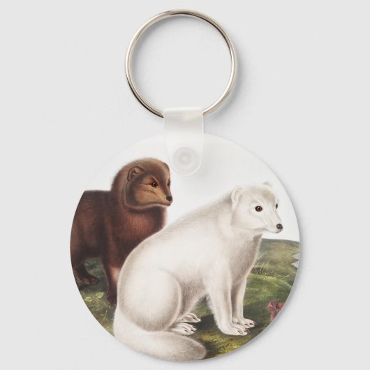 Illustratie Arctic Fox (Vulpes lagopus) Sleutelhanger (Voorkant)