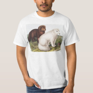 Illustratie Arctic Fox (Vulpes lagopus) T-shirt