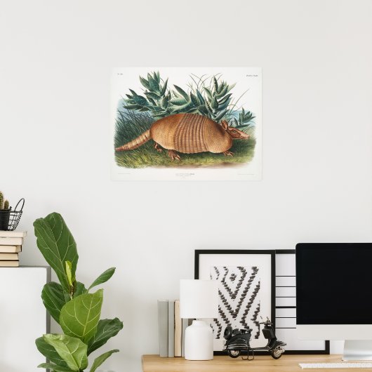  illustratie Armadillo Poster (Thuiskantoor)