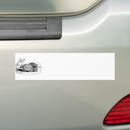  illustratie Armadillo Retro Armadillos Bumpersticker (Op auto)