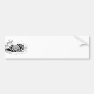 illustratie Armadillo Retro Armadillos Bumpersticker