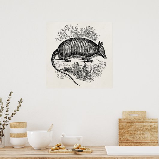  illustratie Armadillo Retro Armadillos Poster (Keuken)