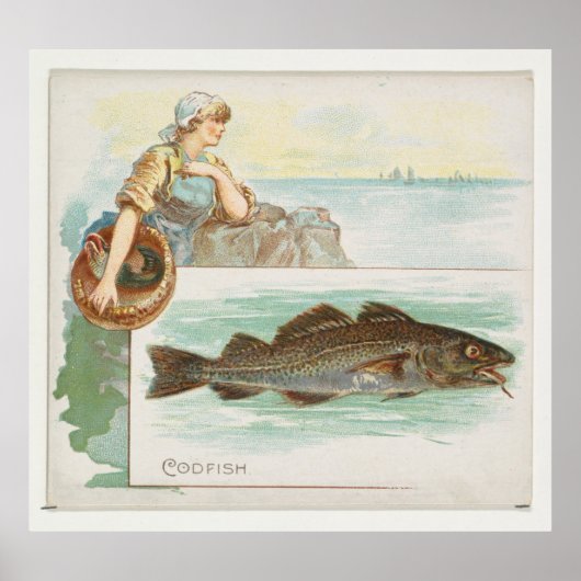 Illustratie  Atlantische kabeljauw (1889) Poster (Voorkant)