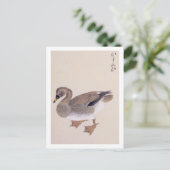  illustratie: Bean goose Briefkaart (Staand voorkant)