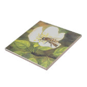  illustratie : Bee op een witte aanjager Tegeltje (Zijkant)