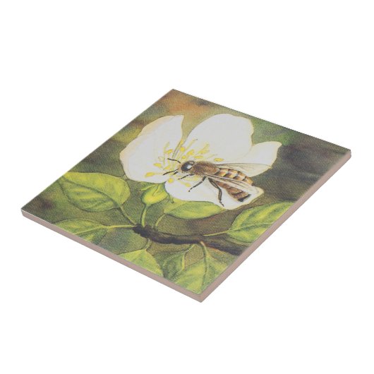  illustratie : Bee op een witte aanjager Tegeltje (Zijkant)