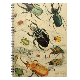Illustratie  beeldschermen notitieboek