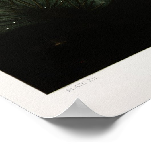 Illustratie  beeldschokdemper poster (Hoek)