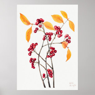 Illustratie  bergas poster