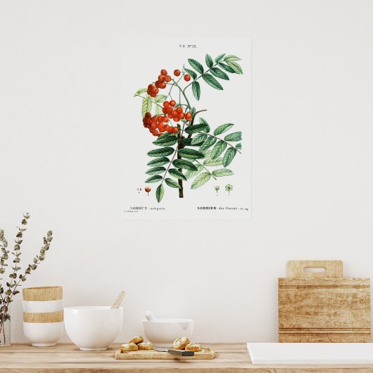 Illustratie bergas poster (Keuken)