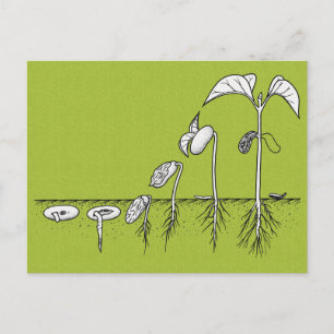 Illustratie bij plant-detectie briefkaart