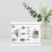  illustratie - bijen en honingraat briefkaart (Staand voorkant)