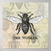 Illustratie bijenwerper poster (Voorkant)