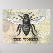 Illustratie bijenwerper poster (Voorkant)