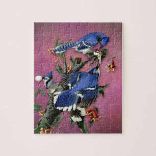 Illustratie  blauwe Jays (Audubon) Legpuzzel