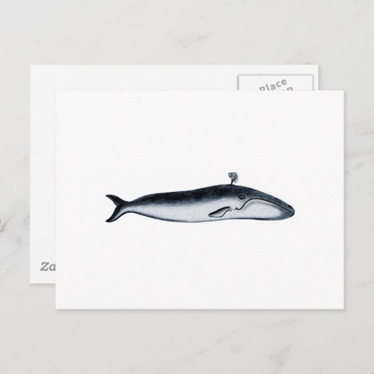 Illustratie blauwe walvis (pouting) briefkaart (Voorkant / Achterkant)