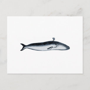 Illustratie blauwe walvis (pouting) briefkaart