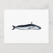 Illustratie blauwe walvis (pouting) briefkaart (Voorkant)