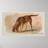 Illustratie  bloedhond (1890) poster (Voorkant)
