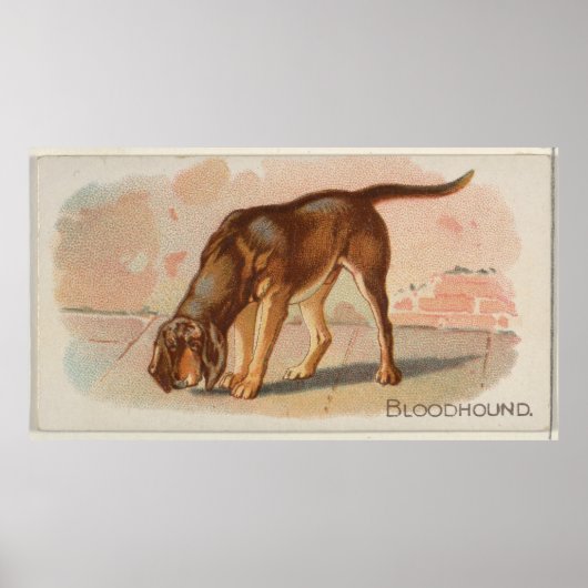 Illustratie  bloedhond (1890) poster (Voorkant)