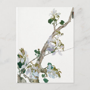 Illustratie  bloemen briefkaart