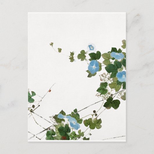 Illustratie  bloemen briefkaart (Voorkant)