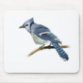 Illustratie Bluejay Muismat (Voorkant)