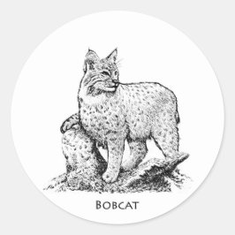 Illustratie Bobcat Ronde Sticker