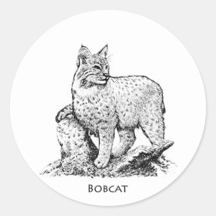 Illustratie Bobcat Ronde Sticker