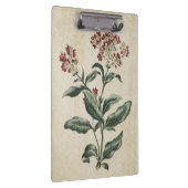 Illustratie  botanische Floral Laurestina Klembord (Rechts)