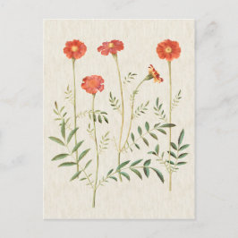 illustratie Botanische marges Briefkaart