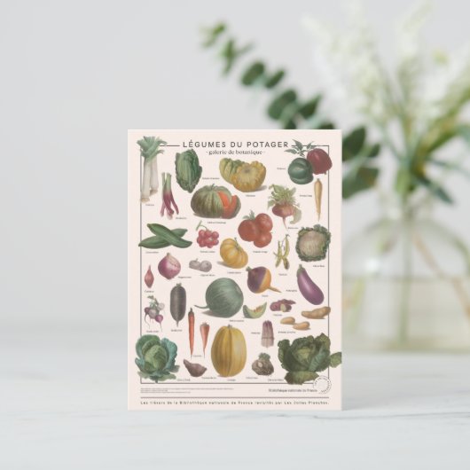 Illustratie Briefkaart (Staand voorkant)