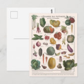 Illustratie Briefkaart (Voorkant / Achterkant)