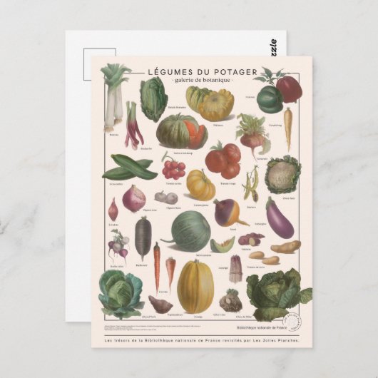 Illustratie Briefkaart (Voorkant / Achterkant)