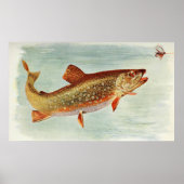 Illustratie  brook-forel (1914) poster (Voorkant)