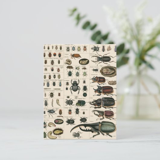 Illustratie  bundel briefkaart (Staand voorkant)