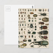 Illustratie  bundel briefkaart (Voorkant / Achterkant)