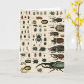 Illustratie  bundel kaart (Gele Bloem)