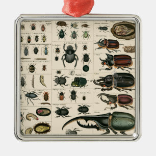 Illustratie  bundel metalen ornament