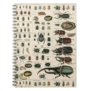 Illustratie  bundel notitieboek